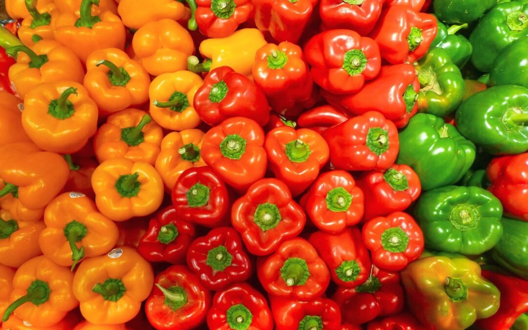 Pisto de calabacín con atún